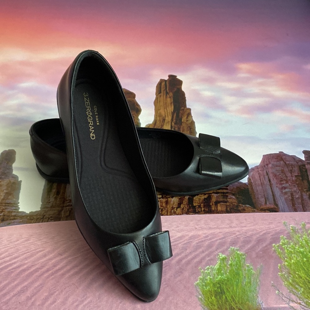 🖤 Cole Haan leather flat ballet